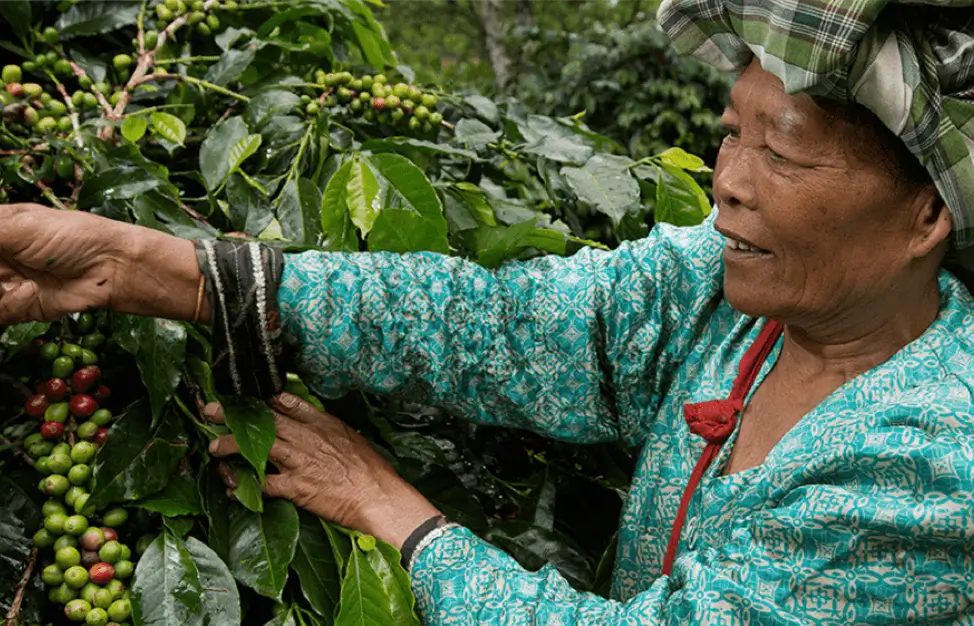 Improving food security